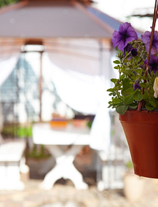 Направления нашей деятельности